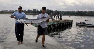 Fishing tournament starts in Cuba